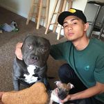 Thomas Duong - @thomas.duong.12 - Instagram