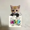 THOMAS_ DUQUE - @thomasdd05 - TikTok