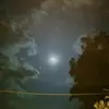 Thomas Duque - @thomas.duque39 - TikTok