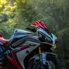 thomasduque537 - @thomasduque537 - TikTok
