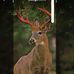 Thomas Durbin - Facebook