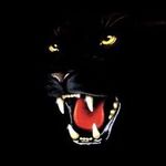 Thomas Dury - @t0m753951 - Instagram