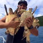 Scott Thomas Eanes - @king_hawksbill - Instagram