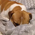 thomas eaves - @thomaseaves289 - Instagram