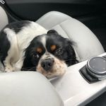 Thomas Eaves - @thomas.eaves - Instagram