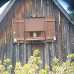 Thomas Eberhard - @thomas.eberhard.587 - Instagram