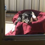 Thomas Eberhardt - Facebook