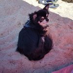 Thomas Eberle - @thomas4871 - Instagram
