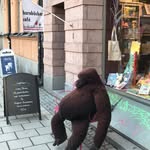 Thomasedenstrom - @thomasedenstrom2 - Instagram