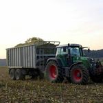 Thomas Egerer - @thomas_egerer234_ - Instagram