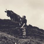Thomas Eggenberger - @eggenbergerthomas - Instagram