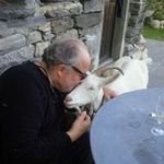 thomas eggenberger - @thomas_eggenberger - Instagram