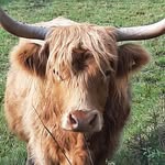 Thomas Ehl - @thomas653531 - Instagram