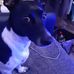 Thomas Ehrke - Facebook
