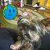 Deborah Thomas Eichenlaub - Facebook