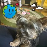 Deborah Thomas Eichenlaub - @eichenlaubdeborah - Instagram