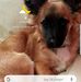 Thomas Eickhoff - Facebook