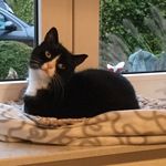 Thomas Eilers - @die_eilis - Instagram
