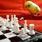 Thomas Ellenburg - @ellenburgthomas - Instagram