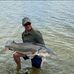 Thomas Elling - Facebook