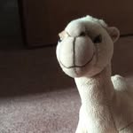 Thomas Ellington - @thomas_e_2607 - Instagram
