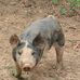 Thomas Ellington - Facebook