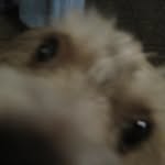 Thomas Ellington - @randomcat1000 - Instagram