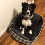 Thomas Ellsworth - @thomasellsworth2359 - Instagram
