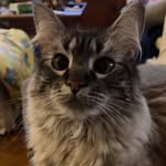Thomas Elrod - @thomas.elrod - Instagram