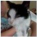 Thomas Elsey - Facebook