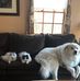 Thomas Emmert - Facebook