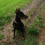 Thomas Enders - @thomasenders07 - Instagram