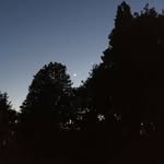 Thomas Engelen - @thomoumou - Instagram