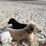Thomas Engelke - @engelkethomas316 - Instagram