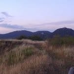 Thomas Engels - @engels.thomas - Instagram