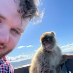 Thomas Engler - @tomi.engl - Instagram