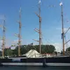 thomasengler403 - @thomasengler403 - TikTok