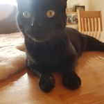 Thomas Englert - @thomasenglert1806 - Instagram