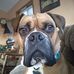 Tom Englert - Facebook