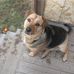 Tom Ensign - Facebook