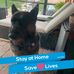 Tom Ensign - Facebook