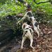 Thomas Epps - Facebook