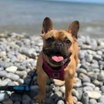 Thomas Erick - @thomas88984 - Instagram