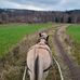 Thomas Eriksson - Facebook