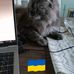Thomas Eriksson - Facebook