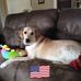 Tommy Everman - Facebook