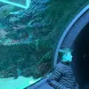 Thomas Everts - @thomas.everts5 - TikTok