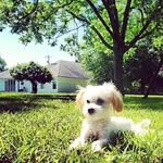 Thomas Ewald - @ewald7327 - Instagram