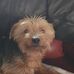 Thomas Fairbrother - Facebook