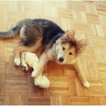 Thomas Anthony Falin - @thomasfalin - Instagram